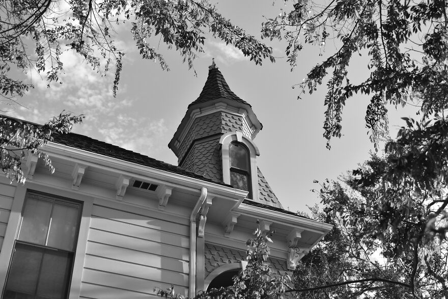 I Took These Photos, And I’m Very Proud Of Them!