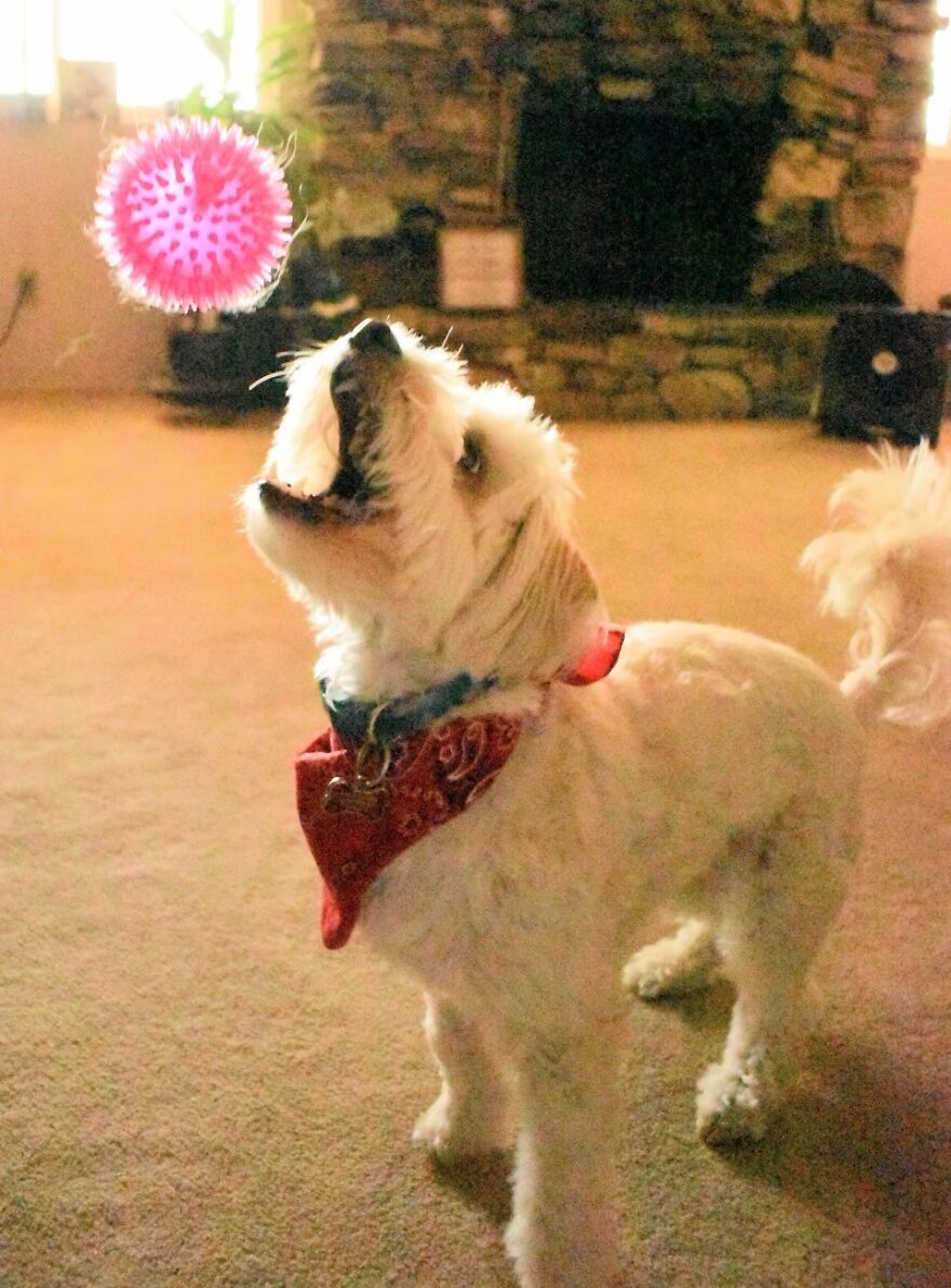 I Took These Photos, And I’m Very Proud Of Them!