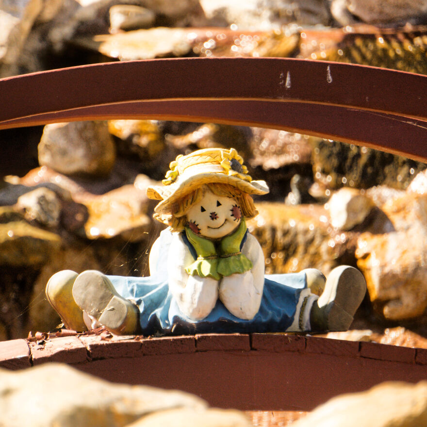 I Took These Photos, And I’m Very Proud Of Them!