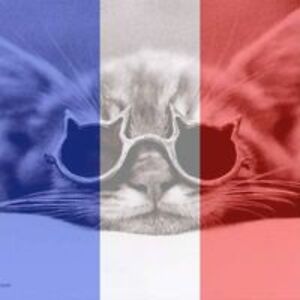 michele_badieres avatar