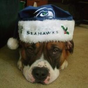 angelamalcolm avatar