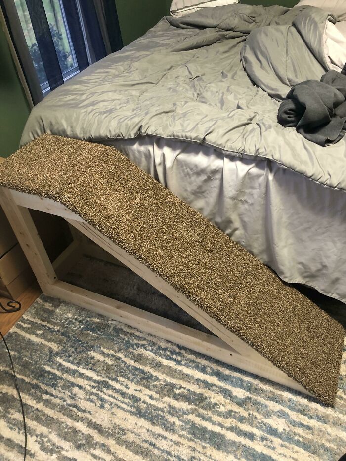 Hice una rampa para que mi perro de 13 años subiera a mi cama