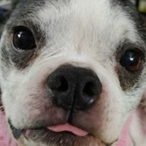 alyssa_stewart avatar