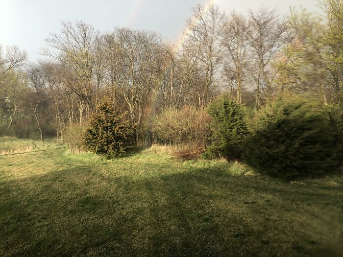 The End Of The Rainbow Just Appeared In Our Backyard