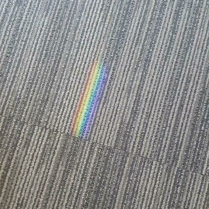 This Little Rainbows Stripes Lined Up Perfectly With The Carpet