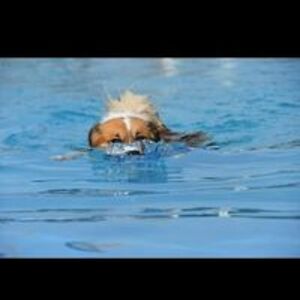 locdangnguyenllc avatar