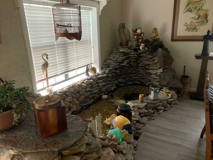 My Grandparents Have A Fish Pond In Their Living Room
