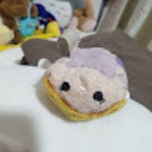 squishytoyfisheng avatar