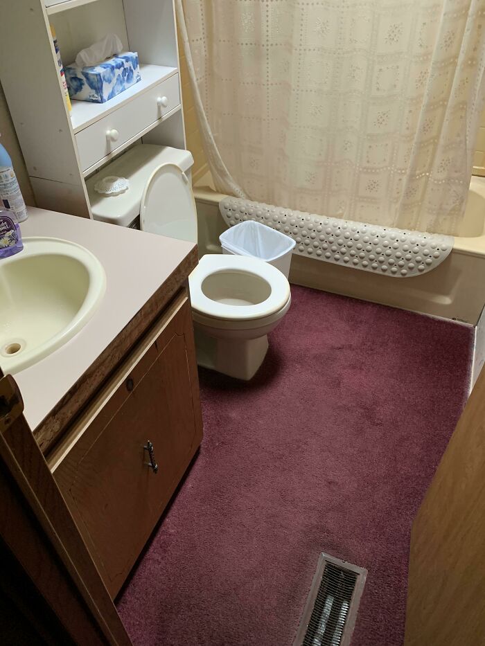It Finally Happened To Me. I Found A Carpeted Bathroom