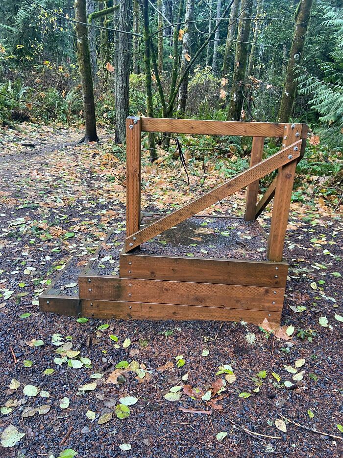 ¿Qué es este conjunto de escaleras con plataforma? Se encuentra en la entrada de un bosque local con rutas de senderismo