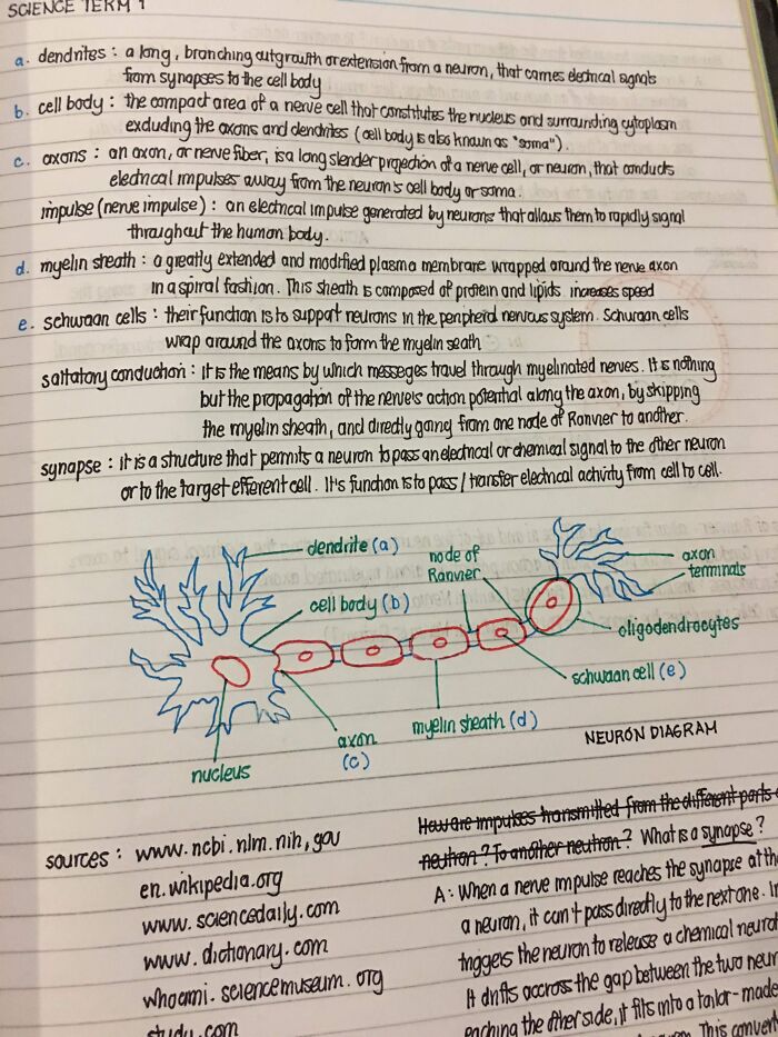 Hope You Guys Can Enjoy My Classmate's Handwriting
