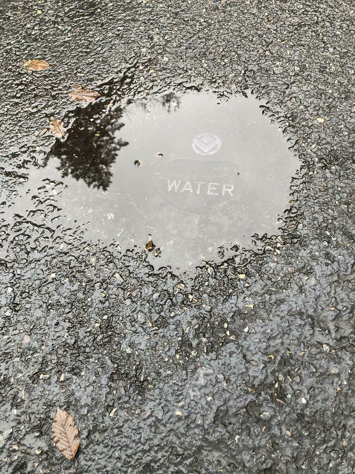 This Puddle Is Labeled