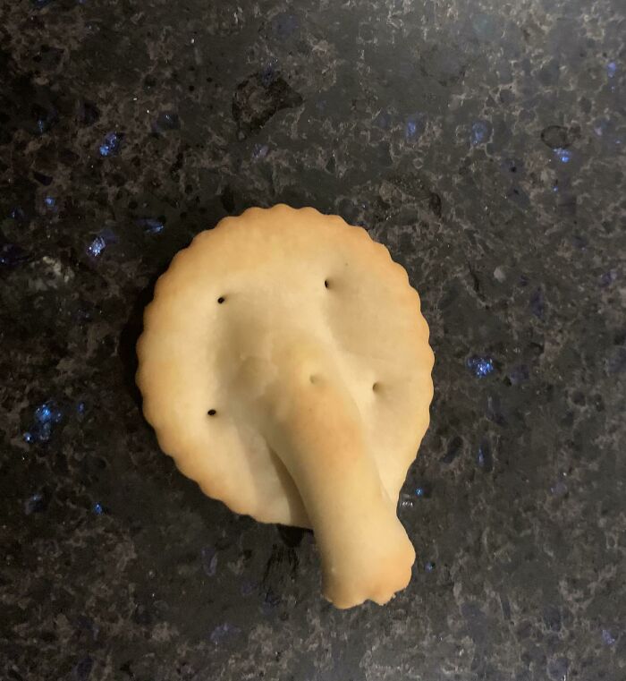 My Ritz Cracker Has A Nose