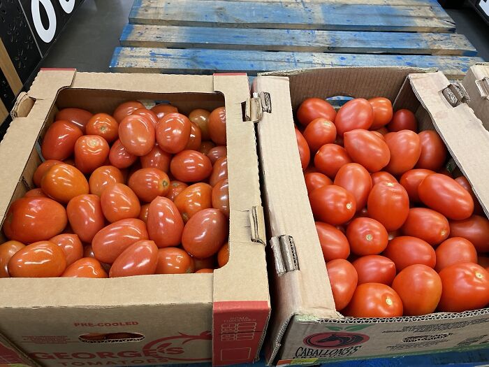I Work In Grocery, And These Two Boxes Of Roma Tomatoes Came On The Truck This Morning. One Came With A Shine, The Other Didn’t