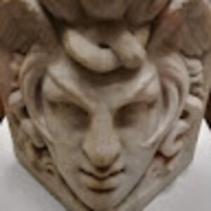 adamantiuscloudcat avatar