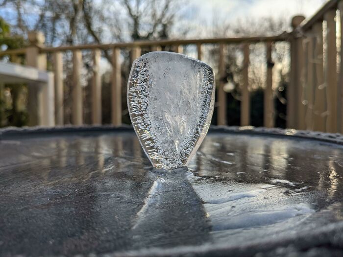 Woke Up This Morning To Find An Interesting (Natural) Ice Sculpture In The Garden