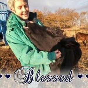 ellisconnie31 avatar