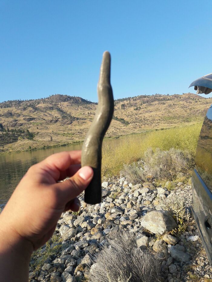 This Oddly Shaped Rock I Found At A Lake