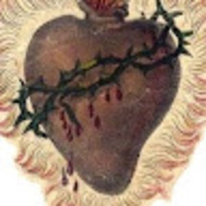 belindabenson avatar