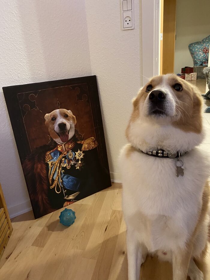 Ollie sentado junto al cuadro que le regalaron por Navidad