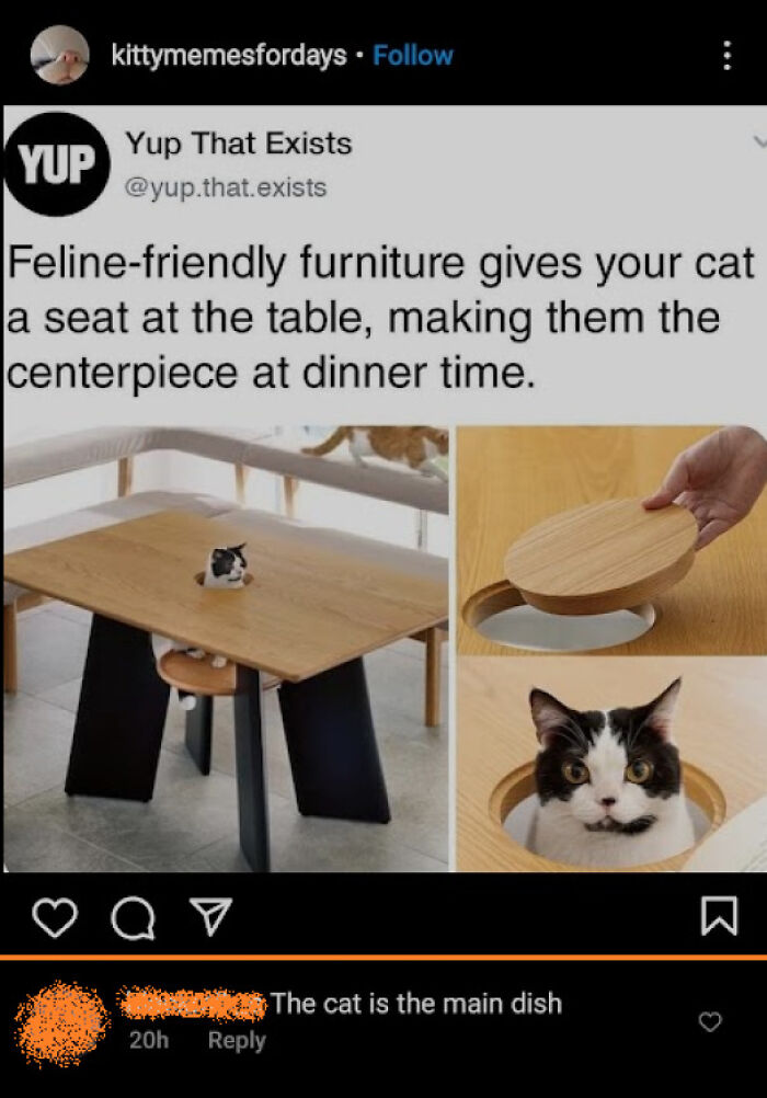 A Table Where Your Cat Becomes A Centerpiece