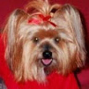 carolthurbymom avatar