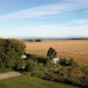 theaaliisekodu avatar