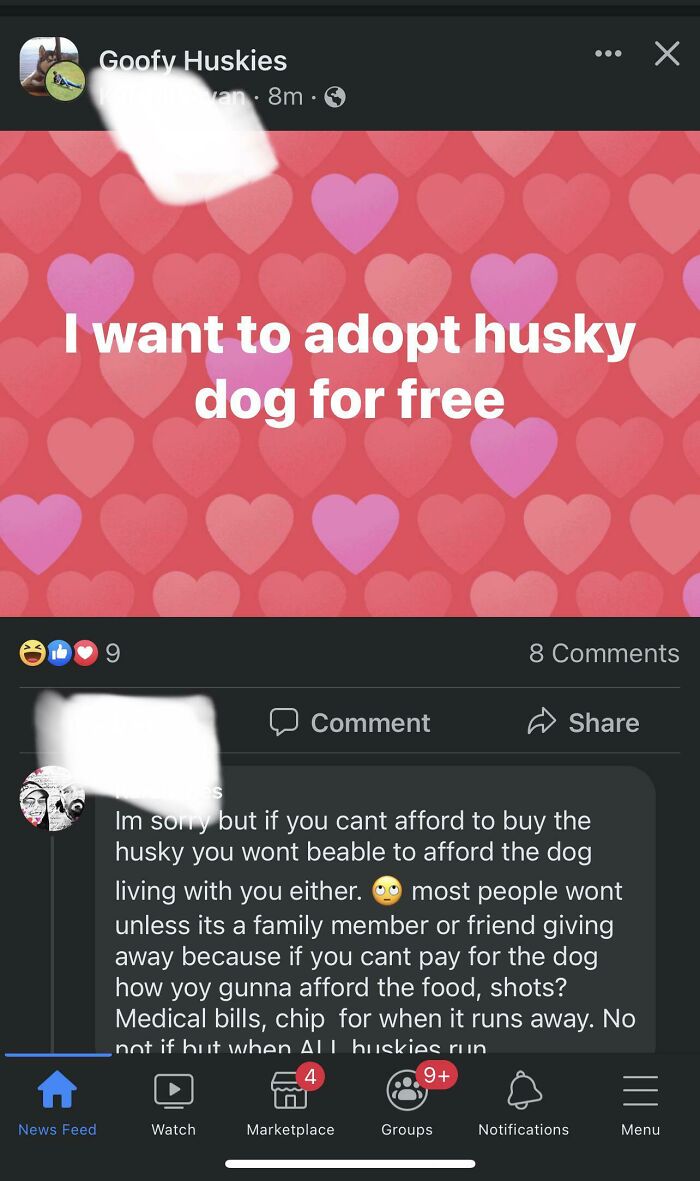 Free Husky ?