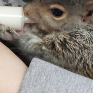 samantha_bena-feery avatar