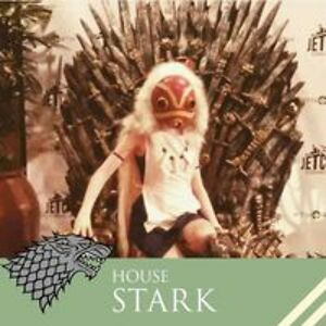 ninjajellyfish13 avatar