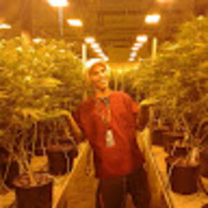 surfcrusher13 avatar