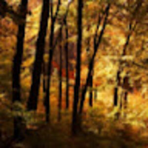 stylinprofilin avatar