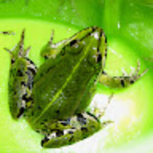 magdalenazalewska_1 avatar