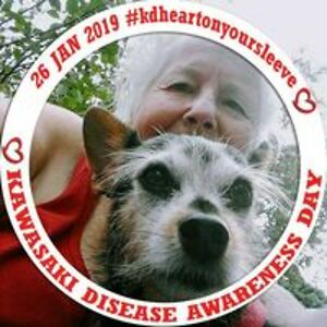 gma_ellie_kositch-norton avatar