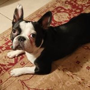 jeffdawson12344 avatar