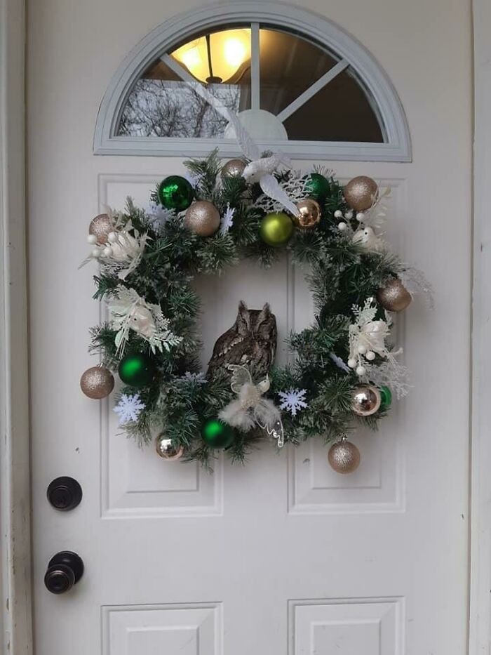 May I Present A Small Owl Sleeping In A Christmas Wreath