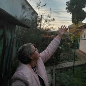 viorica_stefancu avatar