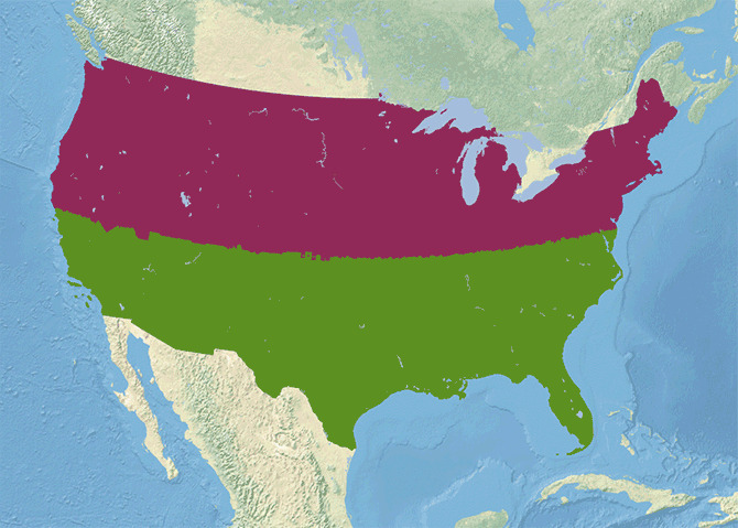 If The US Was Split Into Two Halves With Equal Population