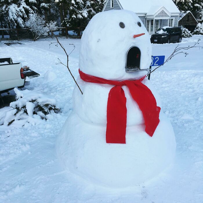 Mailbox Snowman My Wife Made While I Was At Work