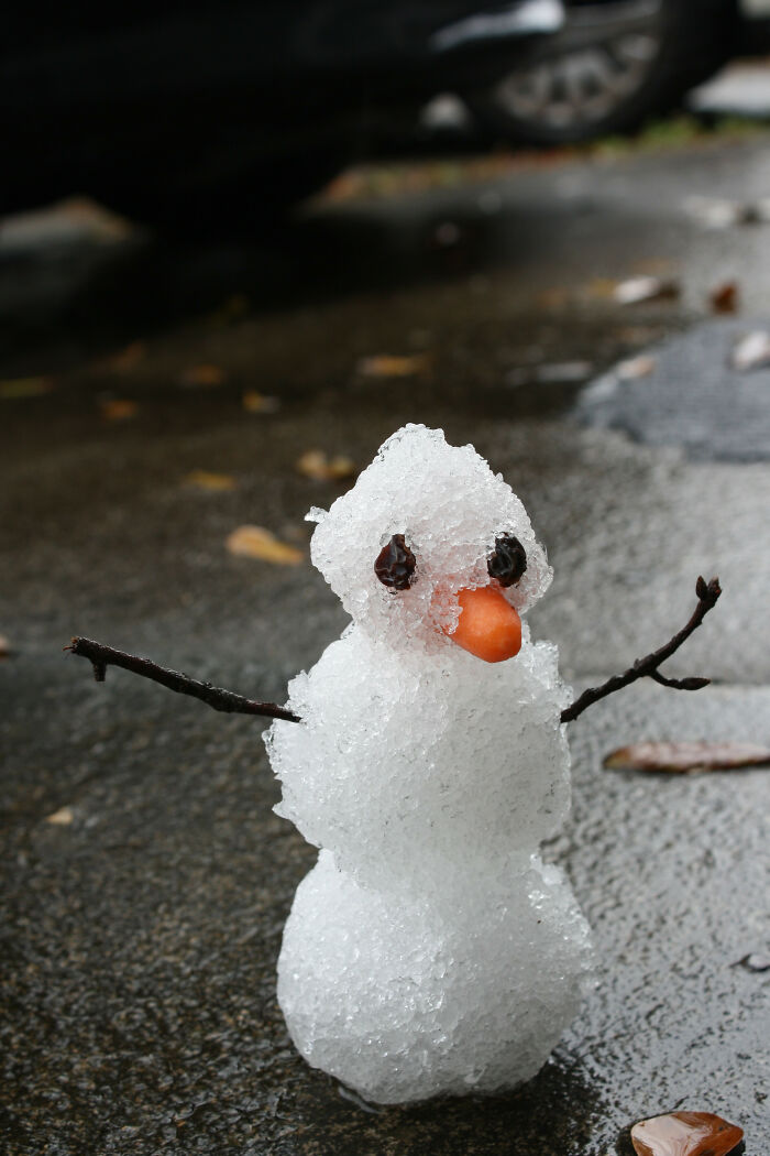 Attention All Of Florida: I Just Made A Snowman. In My Backyard. He Needs A Name