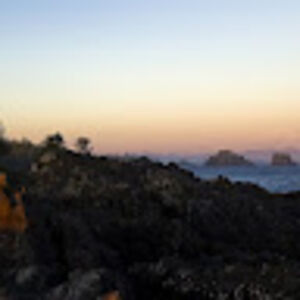 emmajackson_2 avatar