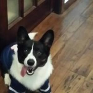 kristenleighblount avatar