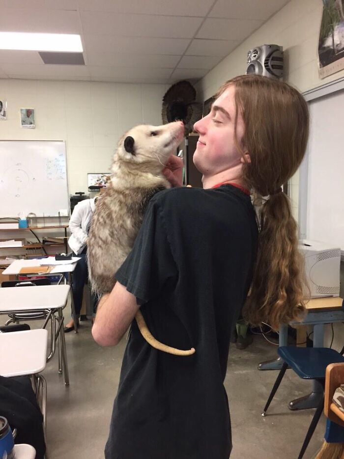 This Kid At My School Brings His Possum Along Sometimes