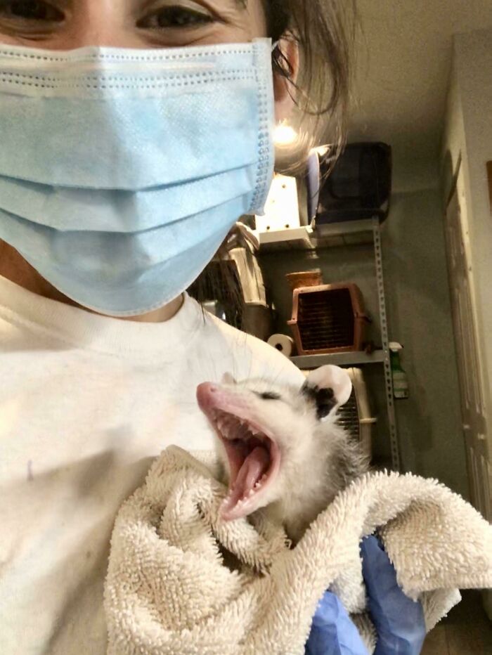 Cute Little Yawner