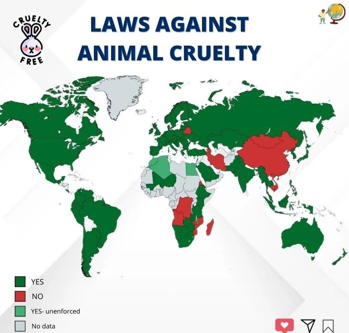 Laws Against Animal Cruelty