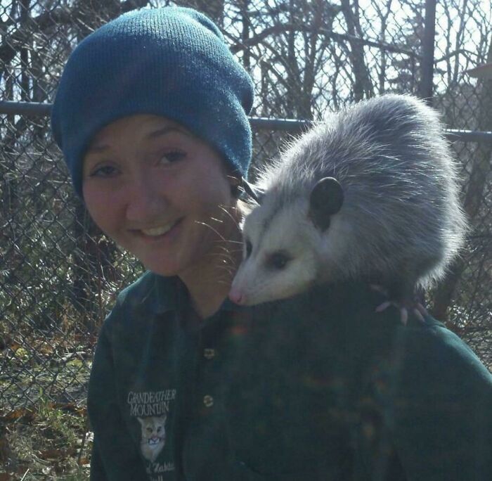 Fern, The Sweetest Opossum