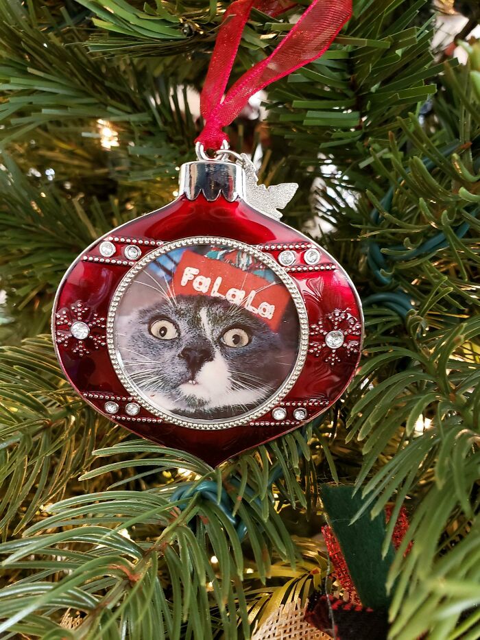We Immortalized Our Favorite Derpy Boi On Our Christmas Tree This Year