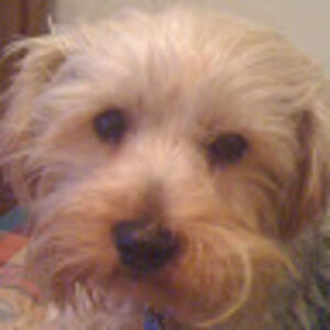 cortneypayton avatar