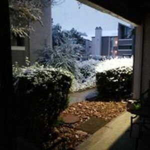 soozie_laubach avatar