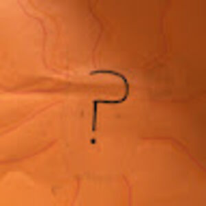 arashkhoshmanesh avatar